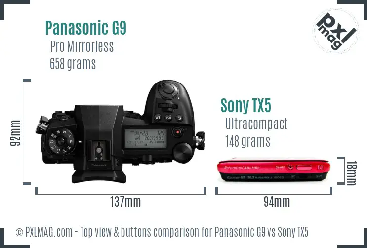 Panasonic G9 vs Sony TX5 top view buttons comparison