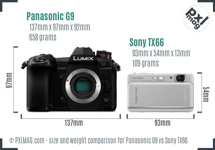 Panasonic G9 vs Sony TX66 size comparison