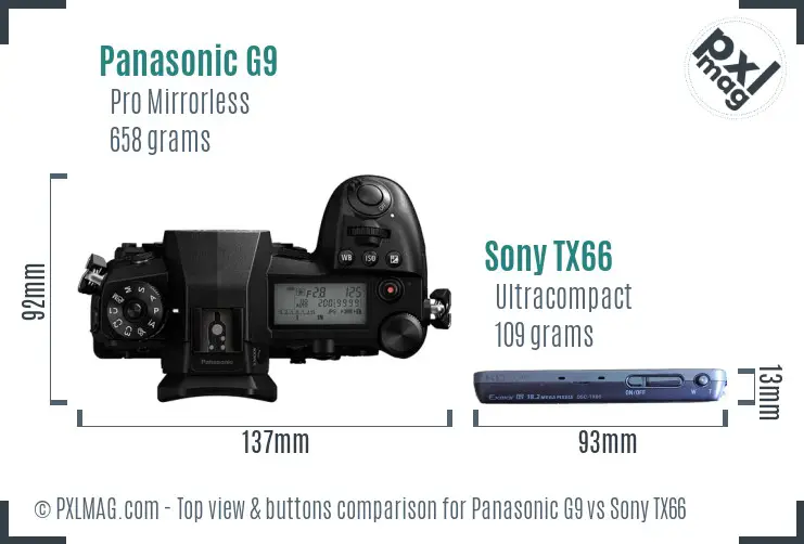 Panasonic G9 vs Sony TX66 top view buttons comparison