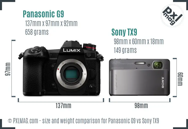 Panasonic G9 vs Sony TX9 size comparison