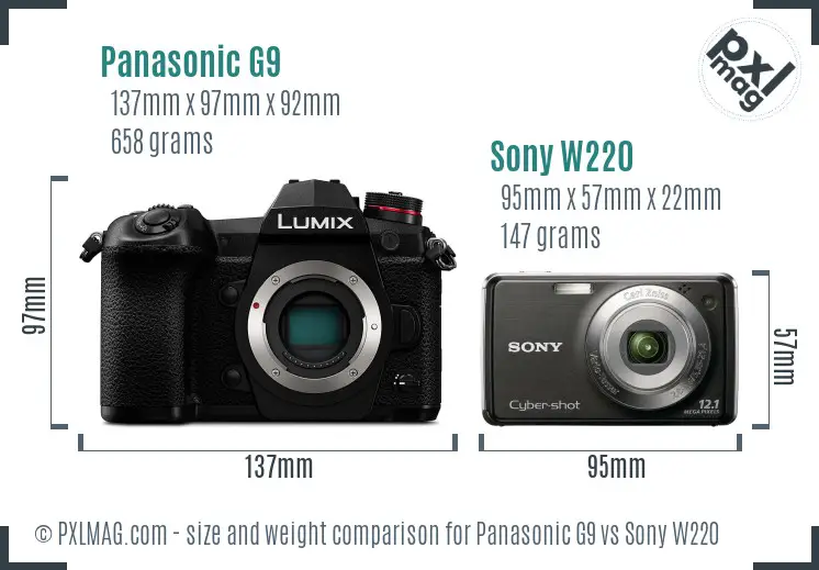 Panasonic G9 vs Sony W220 size comparison