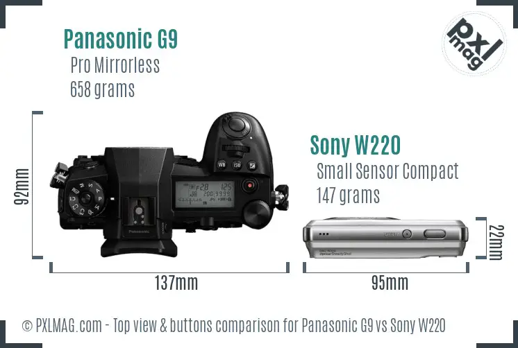 Panasonic G9 vs Sony W220 top view buttons comparison