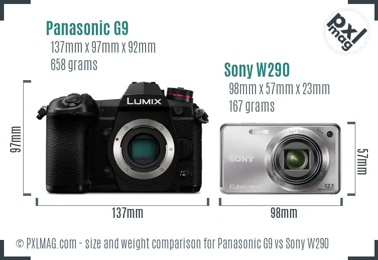 Panasonic G9 vs Sony W290 size comparison