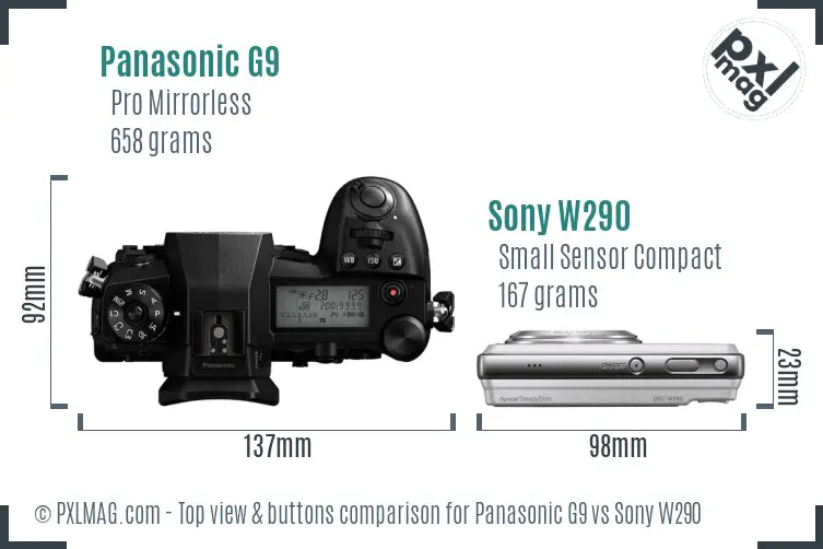 Panasonic G9 vs Sony W290 top view buttons comparison