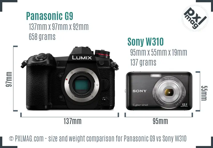 Panasonic G9 vs Sony W310 size comparison