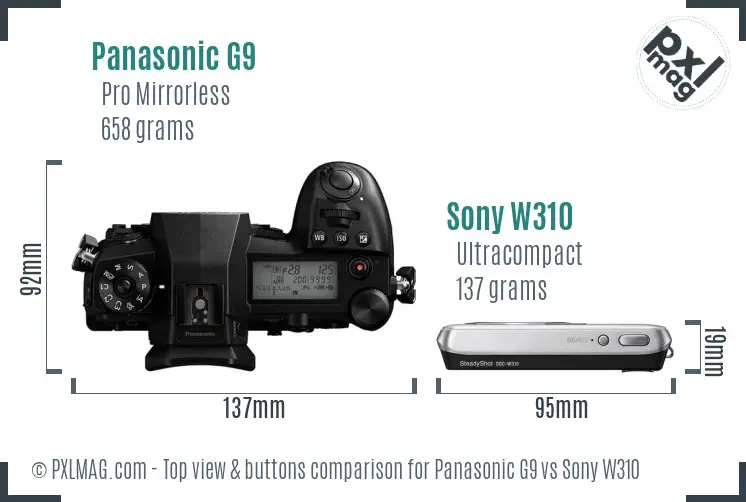 Panasonic G9 vs Sony W310 top view buttons comparison