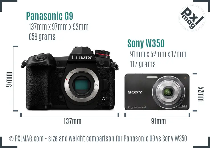 Panasonic G9 vs Sony W350 size comparison