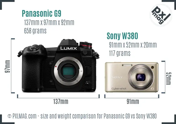 Panasonic G9 vs Sony W380 size comparison