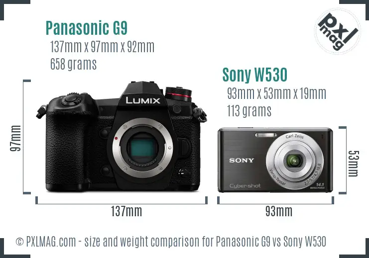 Panasonic G9 vs Sony W530 size comparison Panasonic G9 vs Sony W530 size comparison