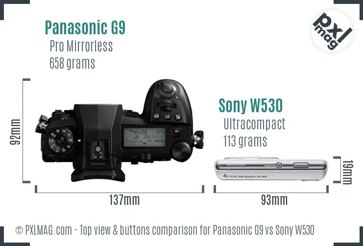 Panasonic G9 vs Sony W530 top view buttons comparison Panasonic G9 vs Sony W530 top view buttons comparison