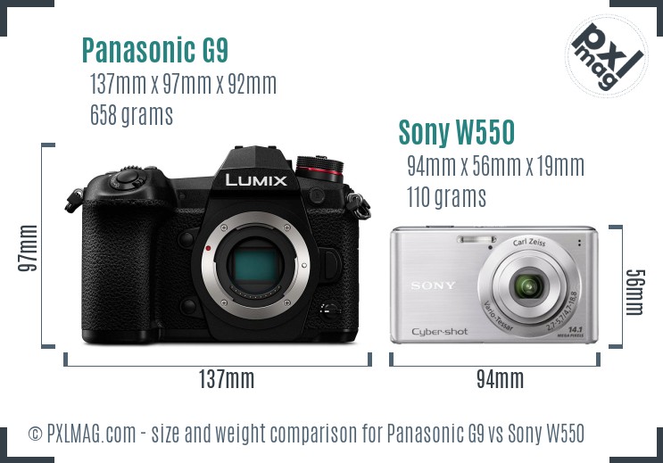 Panasonic G9 vs Sony W550 size comparison