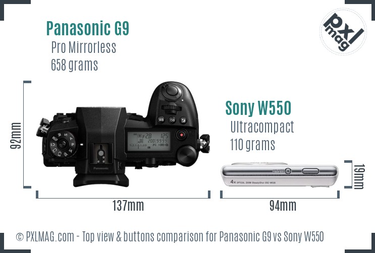 Panasonic G9 vs Sony W550 top view buttons comparison