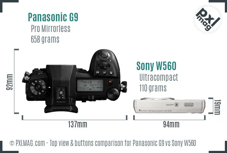 Panasonic G9 vs Sony W560 top view buttons comparison