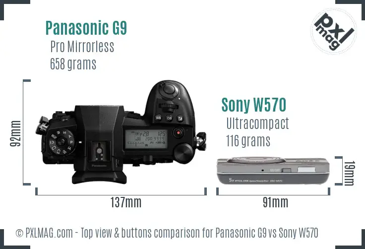Panasonic G9 vs Sony W570 top view buttons comparison