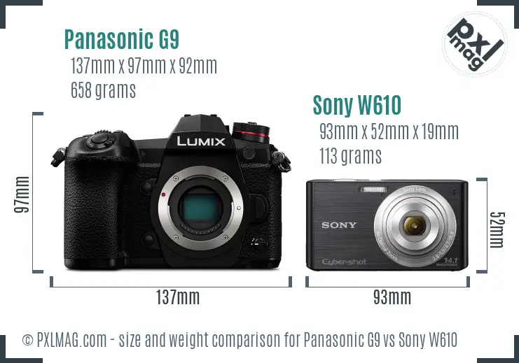 Panasonic G9 vs Sony W610 size comparison
