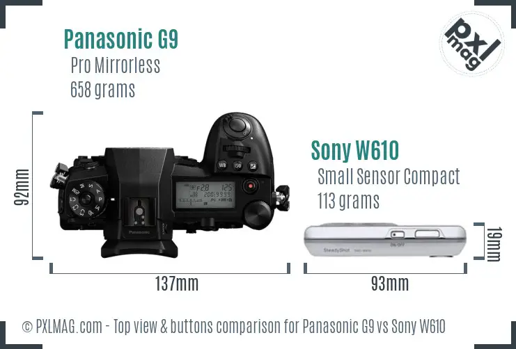 Panasonic G9 vs Sony W610 top view buttons comparison