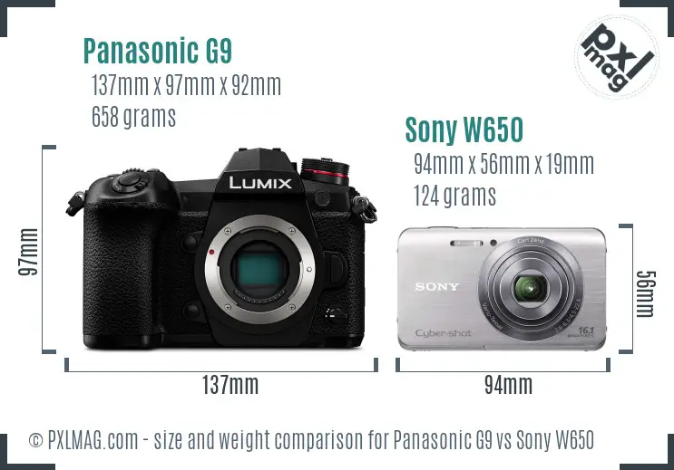 Panasonic G9 vs Sony W650 size comparison