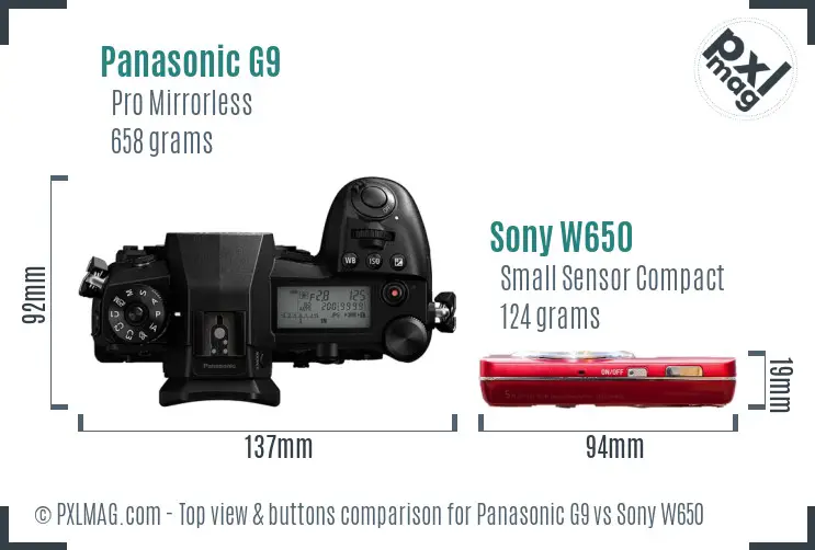 Panasonic G9 vs Sony W650 top view buttons comparison