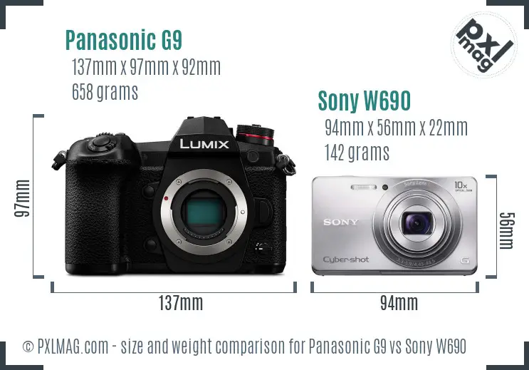 Panasonic G9 vs Sony W690 size comparison