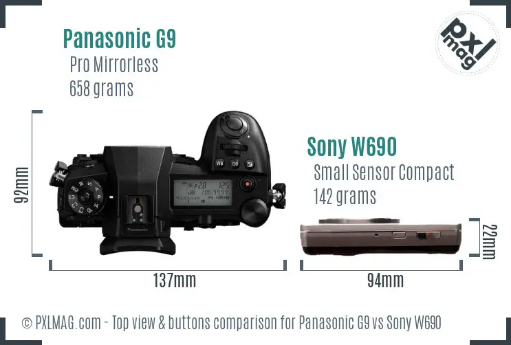 Panasonic G9 vs Sony W690 top view buttons comparison