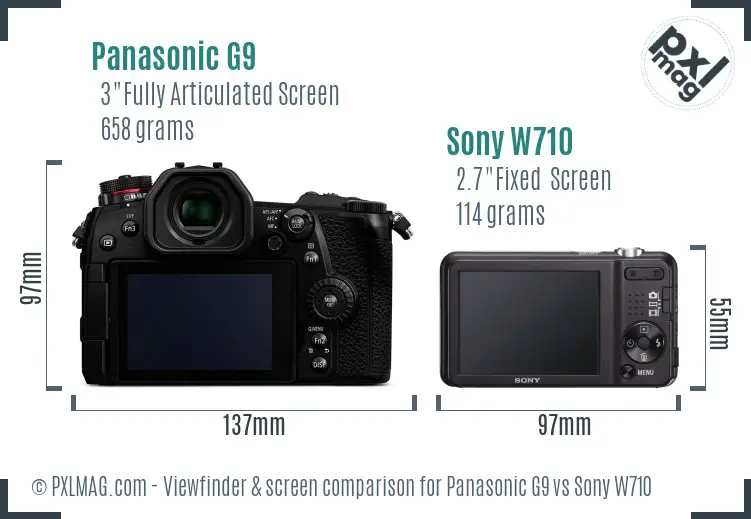 Panasonic G9 vs Sony W710 Screen and Viewfinder comparison