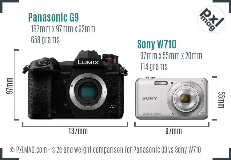 Panasonic G9 vs Sony W710 size comparison