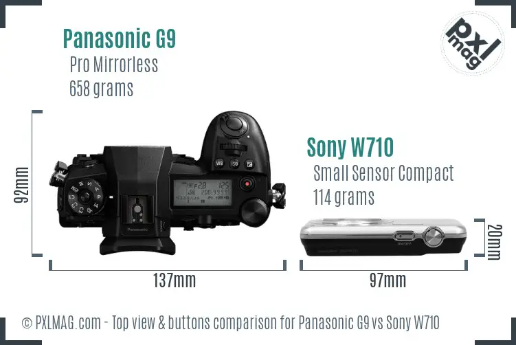 Panasonic G9 vs Sony W710 top view buttons comparison