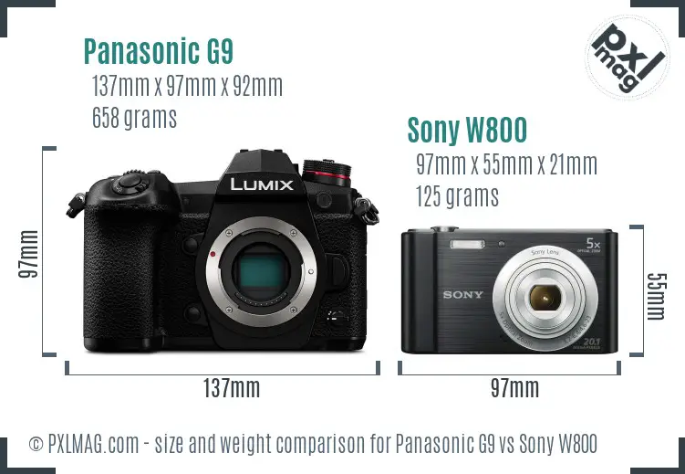 Panasonic G9 vs Sony W800 size comparison