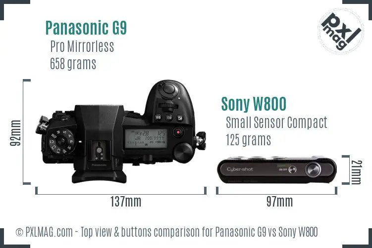 Panasonic G9 vs Sony W800 top view buttons comparison