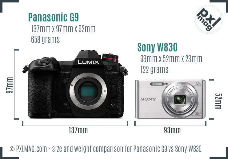 Panasonic G9 vs Sony W830 size comparison