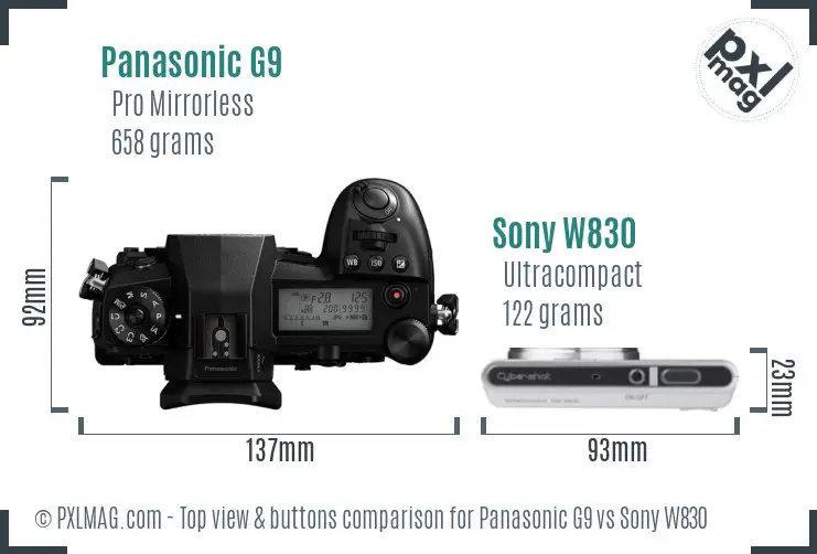Panasonic G9 vs Sony W830 top view buttons comparison