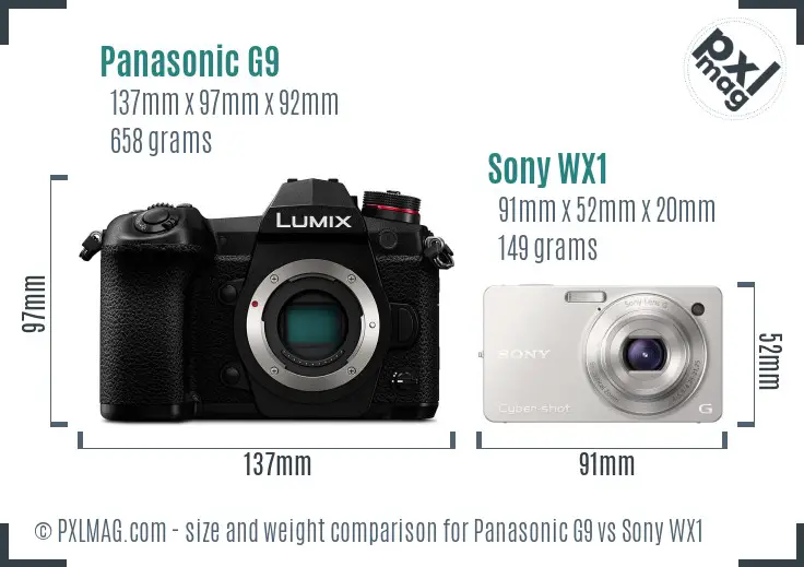 Panasonic G9 vs Sony WX1 size comparison