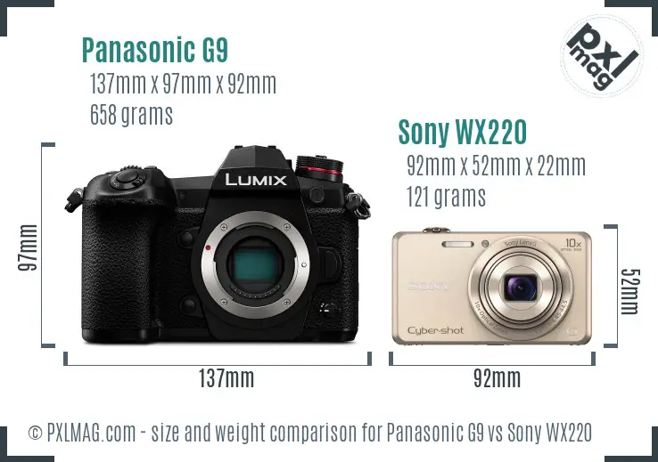 Panasonic G9 vs Sony WX220 size comparison