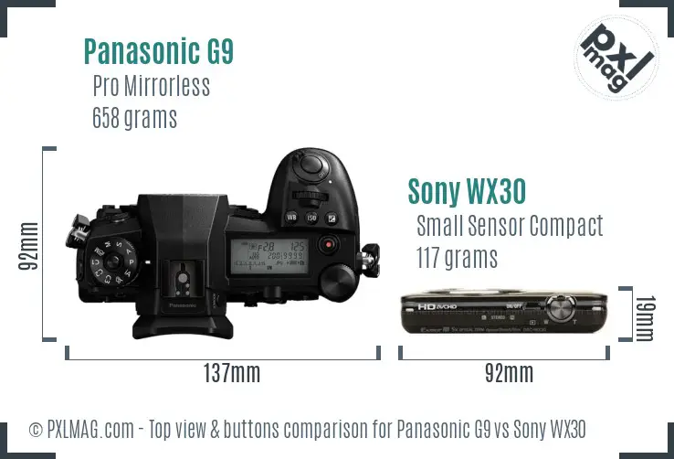 Panasonic G9 vs Sony WX30 top view buttons comparison