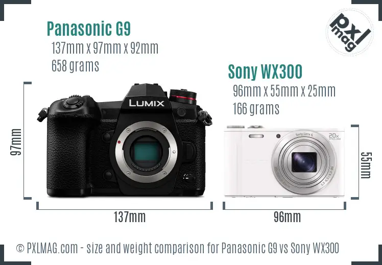 Panasonic G9 vs Sony WX300 size comparison