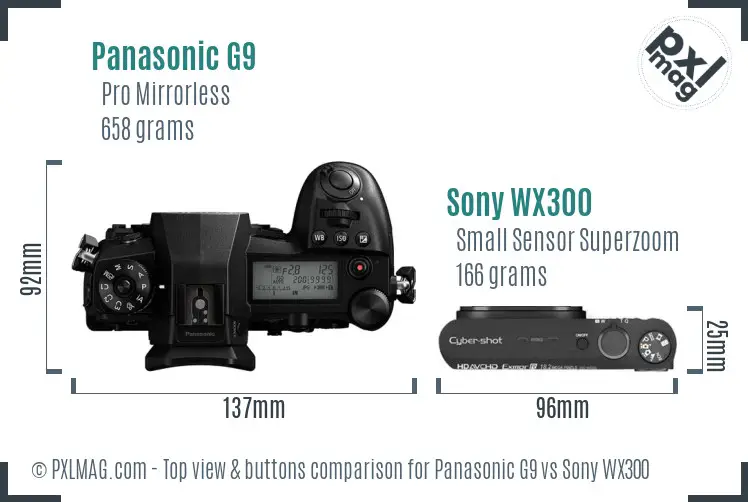 Panasonic G9 vs Sony WX300 top view buttons comparison