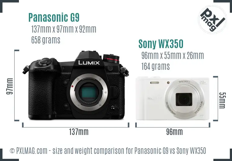 Panasonic G9 vs Sony WX350 size comparison