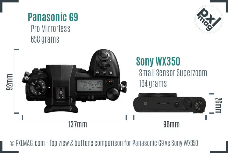Panasonic G9 vs Sony WX350 top view buttons comparison