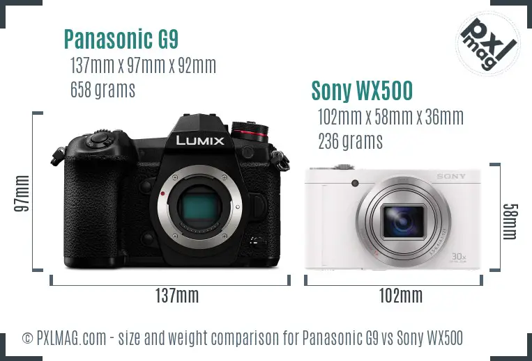 Panasonic G9 vs Sony WX500 size comparison