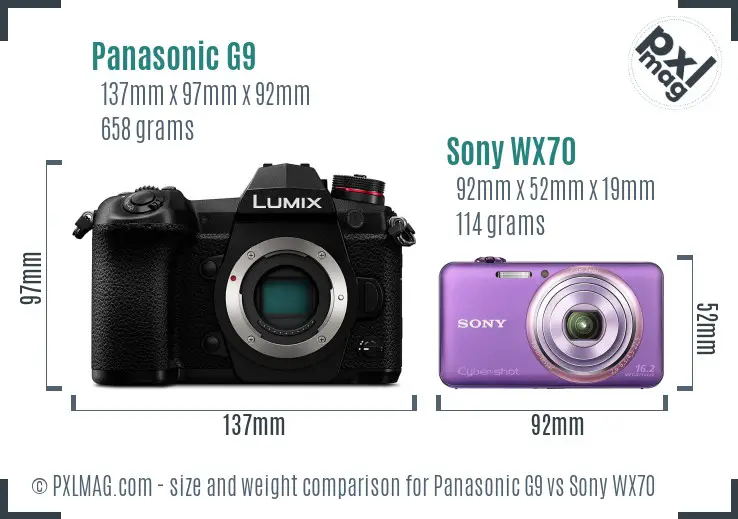 Panasonic G9 vs Sony WX70 size comparison