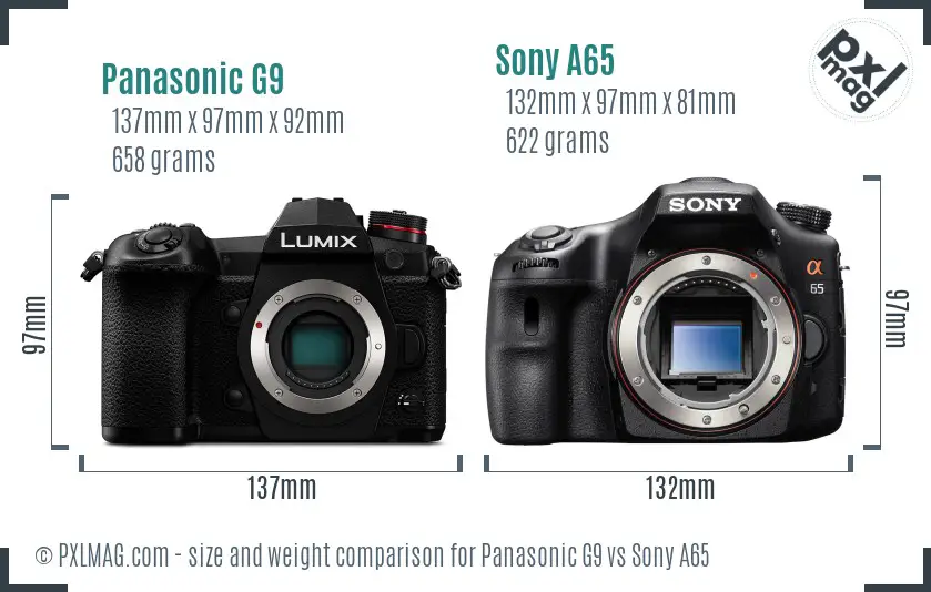 Panasonic G9 vs Sony A65 size comparison