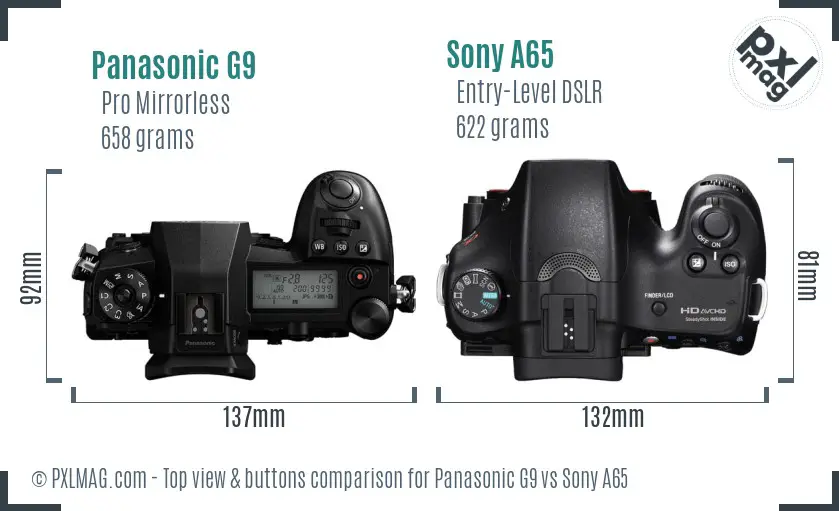 Panasonic G9 vs Sony A65 top view buttons comparison
