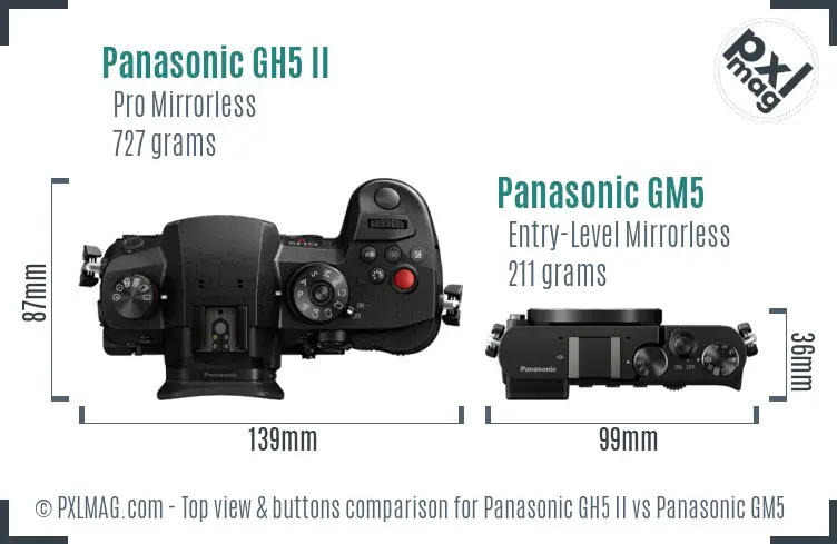 Panasonic GH5 II vs Panasonic GM5 top view buttons comparison Panasonic GH5 II vs Panasonic GM5 top view buttons comparison