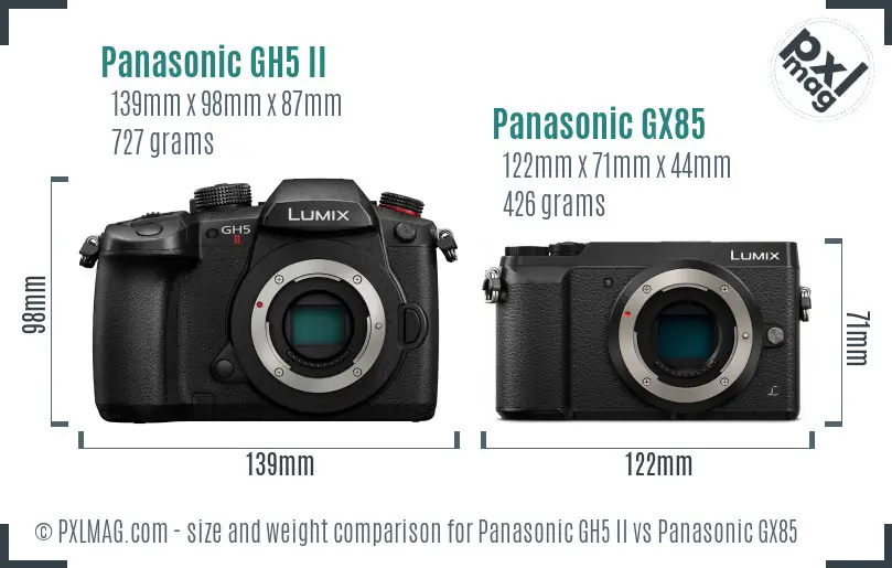 Size and ergonomics comparison of Panasonic GH5 II and Panasonic GX85