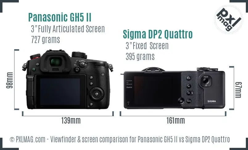 Panasonic GH5 II vs Sigma DP2 Quattro Screen and Viewfinder comparison