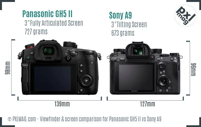 Panasonic GH5 II vs Sony A9 Screen and Viewfinder comparison