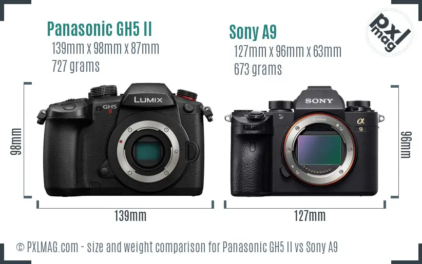 Panasonic GH5 II vs Sony A9 size comparison