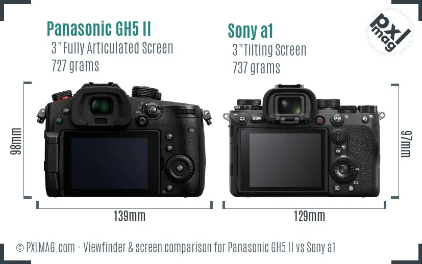Panasonic GH5 II vs Sony a1 Screen and Viewfinder comparison