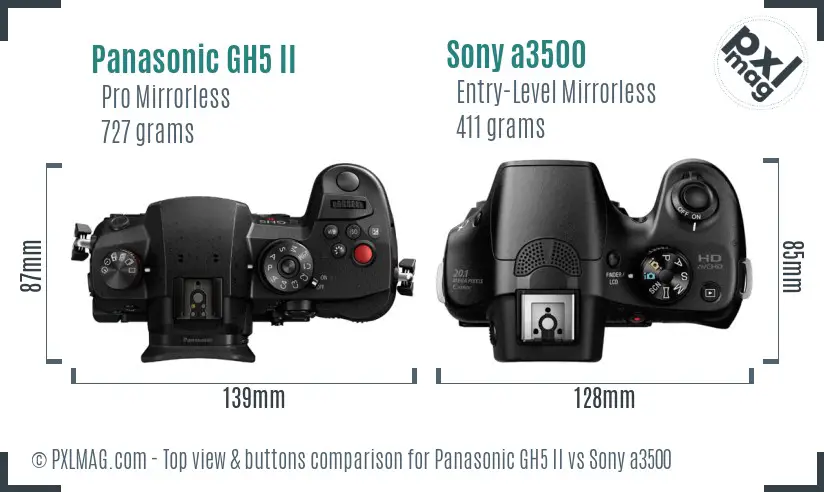 Panasonic GH5 II vs Sony a3500 top view buttons comparison