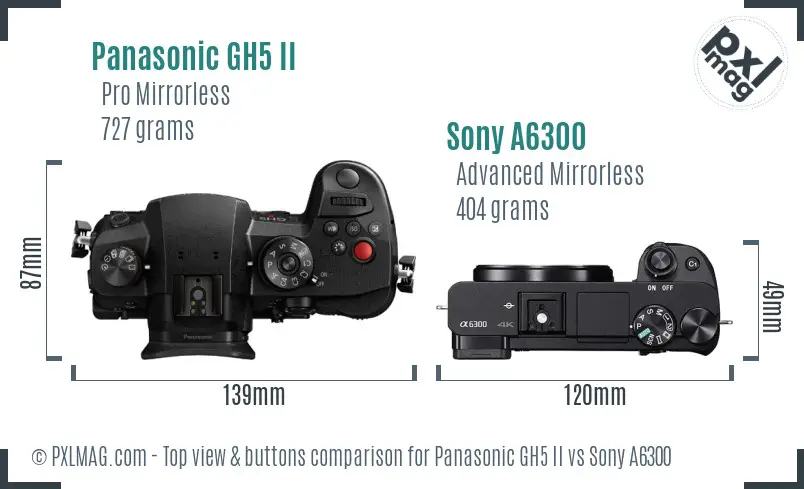 Panasonic GH5 II vs Sony A6300 top view buttons comparison